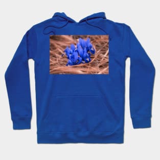 Irises Hoodie